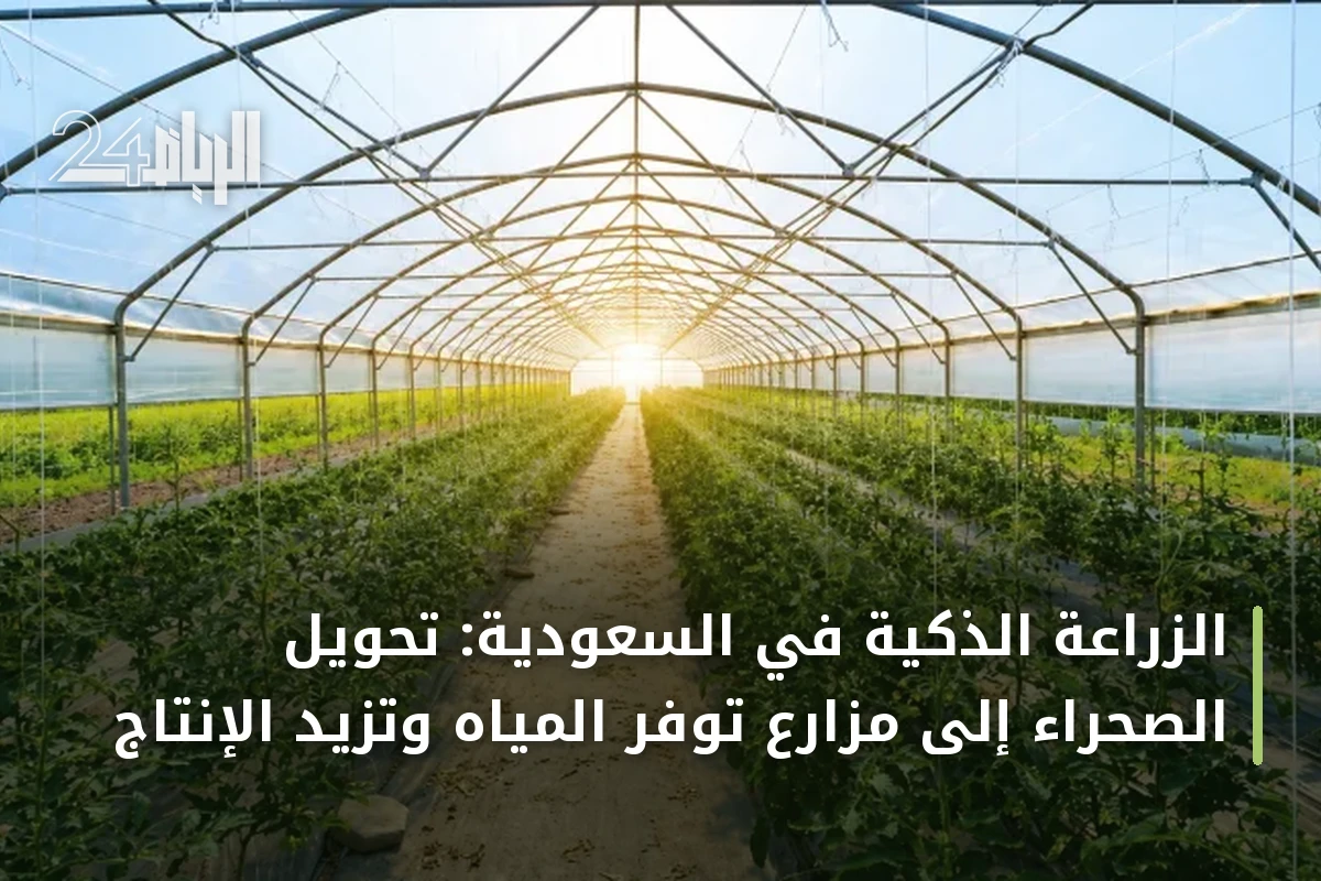 الزراعة الذكية في السعودية: تحويل الصحراء إلى مزارع توفر المياه وتزيد الإنتاج