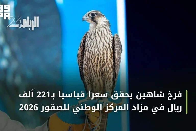 فرخ شاهين يحقق سعراً قياسياً بـ221 ألف ريال في مزاد المركز الوطني للصقور 2026