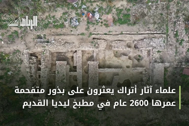 علماء آثار أتراك يعثرون على بذور متفحمة عمرها 2600 عام في مطبخ ليديا القديم