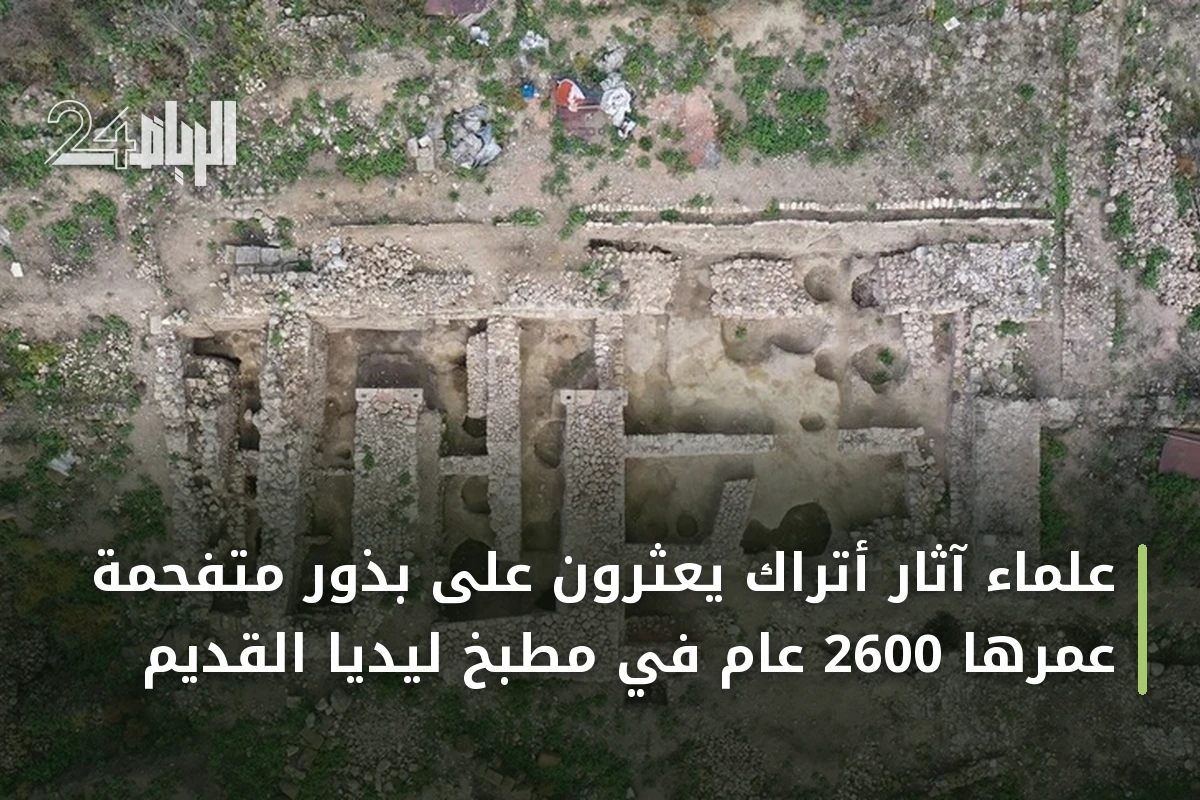 علماء آثار أتراك يعثرون على بذور متفحمة عمرها 2600 عام في مطبخ ليديا القديم