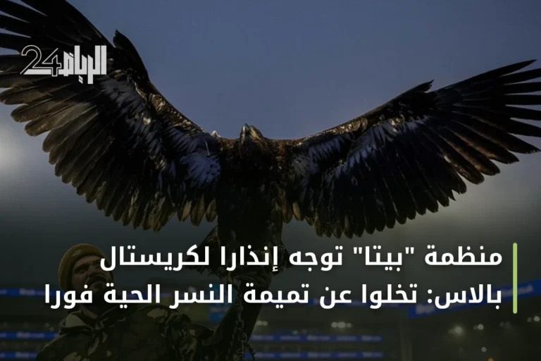 منظمة "بيتا" توجه إنذاراً لكريستال بالاس: تخلوا عن تميمة النسر الحية فوراً