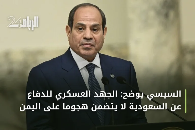 السيسي يوضح: الجهد العسكري للدفاع عن السعودية لا يتضمن هجوماً على اليمن