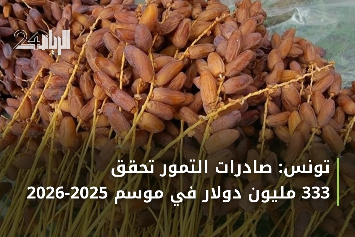 تونس: صادرات التمور تحقق 333 مليون دولار في موسم 2025-2026