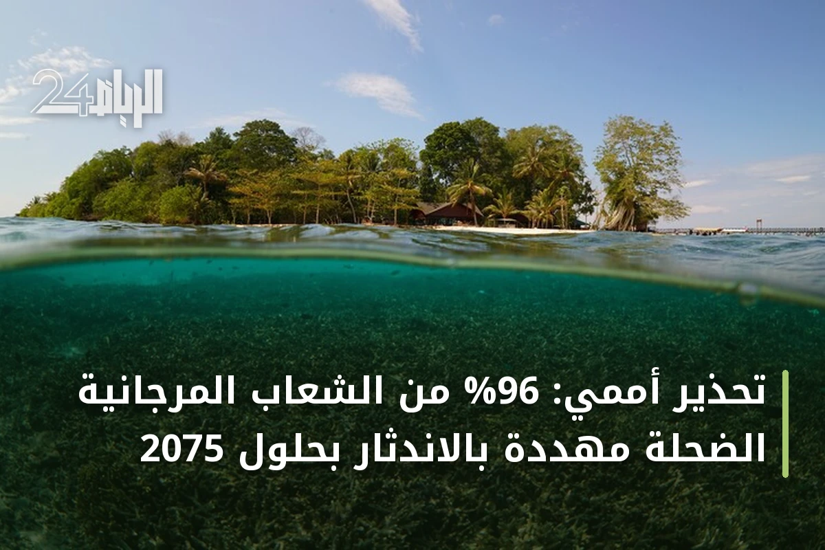 تحذير أممي: 96% من الشعاب المرجانية الضحلة مهددة بالاندثار بحلول 2075