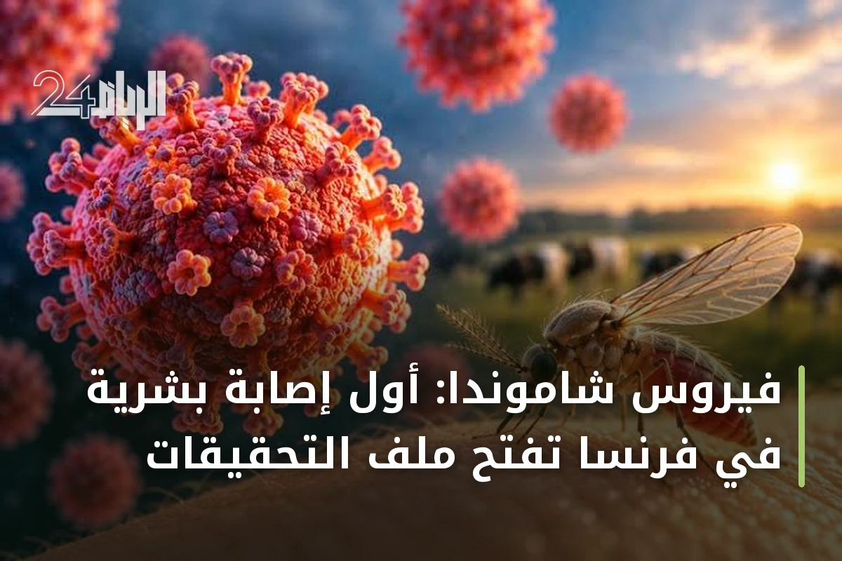فيروس شاموندا: أول إصابة بشرية في فرنسا تفتح ملف التحقيقات