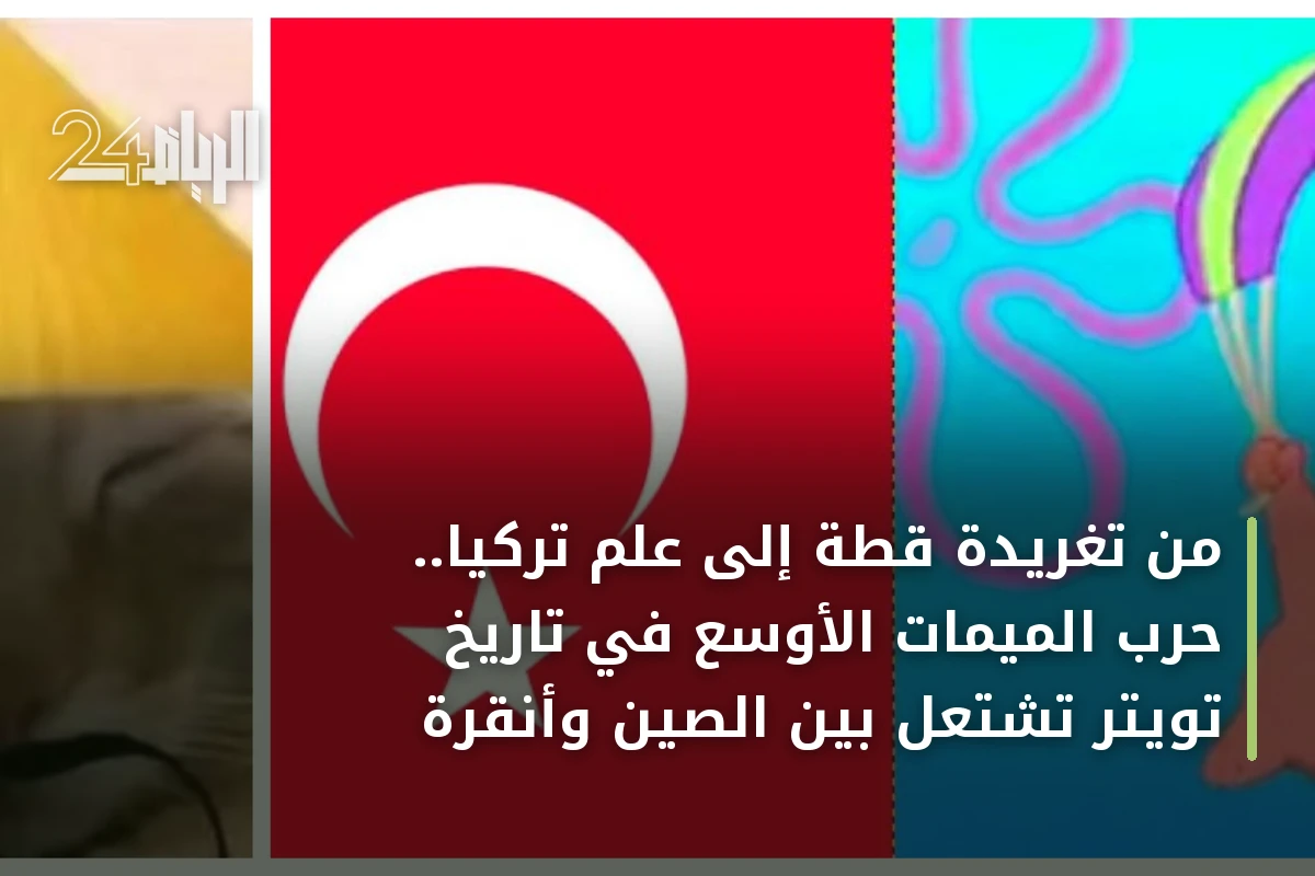 من تغريدة قطة إلى علم تركيا.. حرب الميمات الأوسع في تاريخ تويتر تشتعل بين الصين وأنقرة