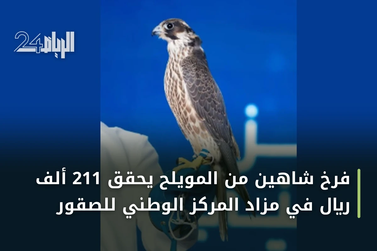 فرخ شاهين من المويلح يحقق 211 ألف ريال في مزاد المركز الوطني للصقور