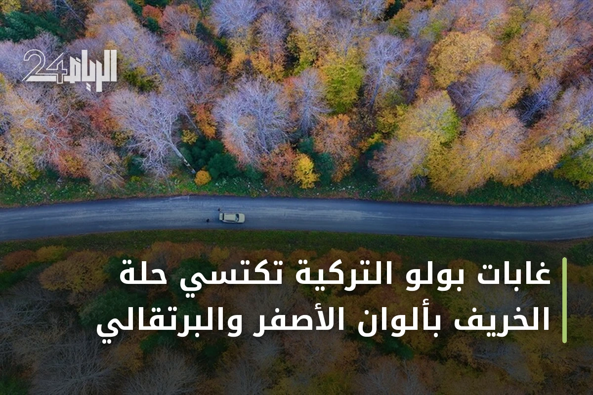 غابات بولو التركية تكتسي حلّة الخريف بألوان الأصفر والبرتقالي