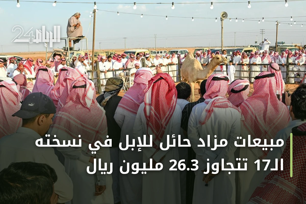 مبيعات مزاد حائل للإبل في نسخته الـ17 تتجاوز 26.3 مليون ريال