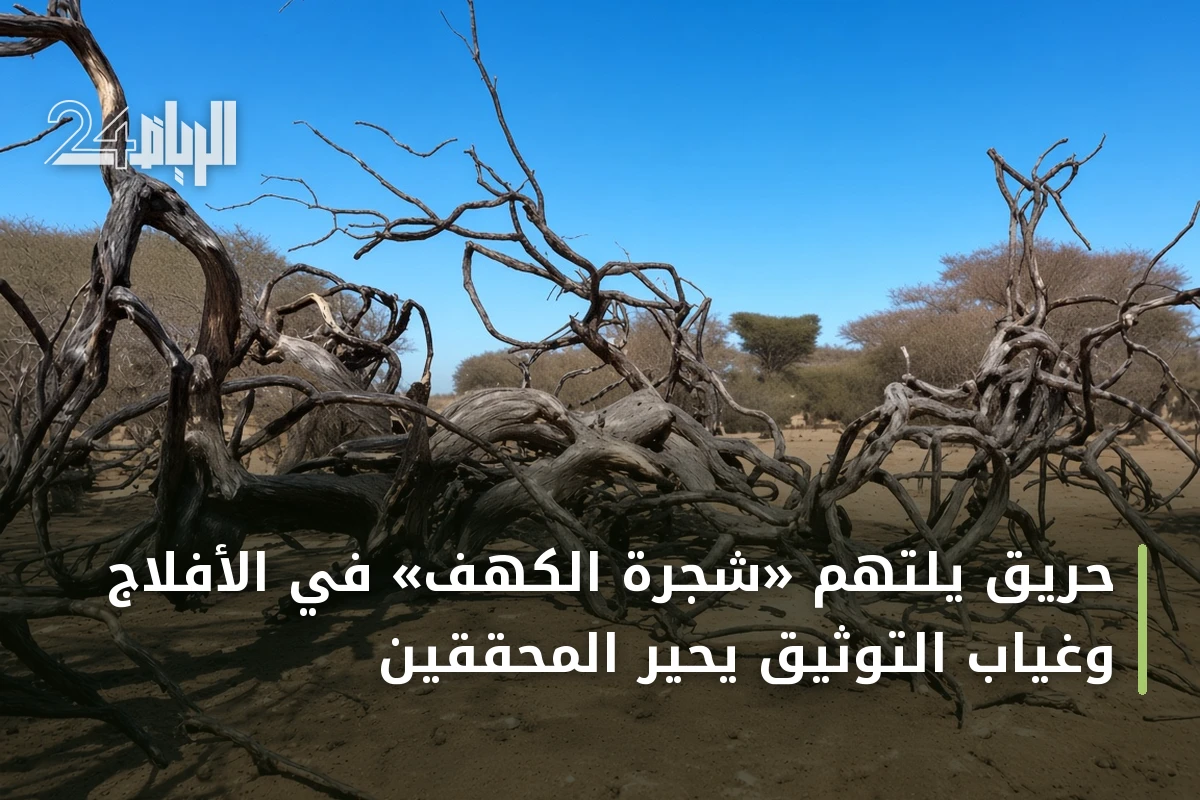 حريق يلتهم «شجرة الكهف» في الأفلاج وغياب التوثيق يحيّر المحققين