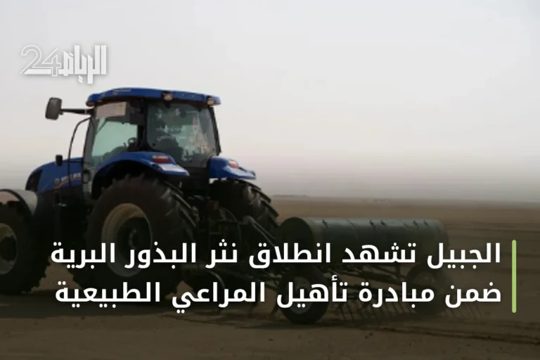 الجبيل تشهد انطلاق نثر البذور البرية ضمن مبادرة تأهيل المراعي الطبيعية