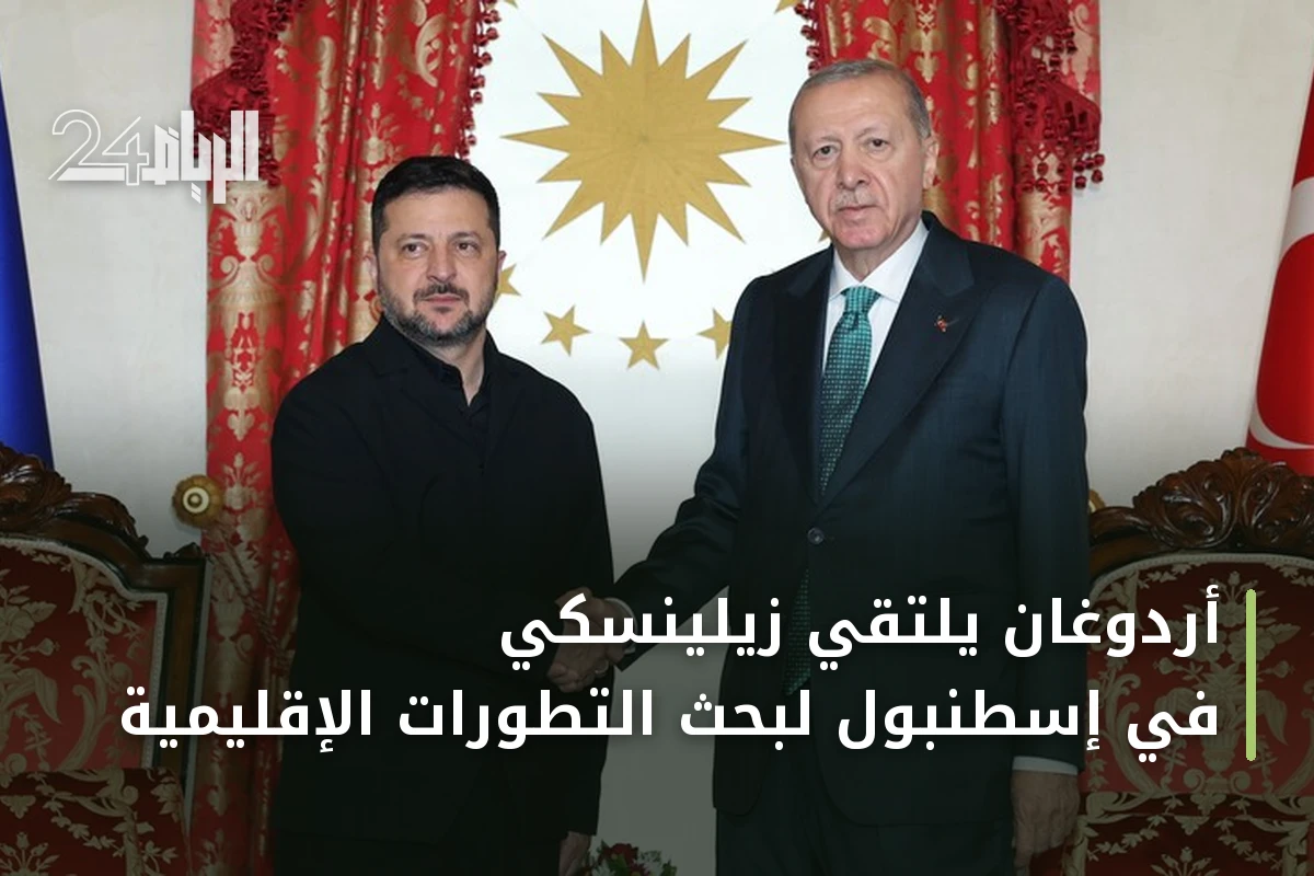 أردوغان يلتقي زيلينسكي في إسطنبول لبحث التطورات الإقليمية