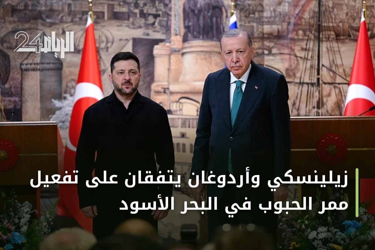 زيلينسكي وأردوغان يتفقان على تفعيل ممر الحبوب في البحر الأسود